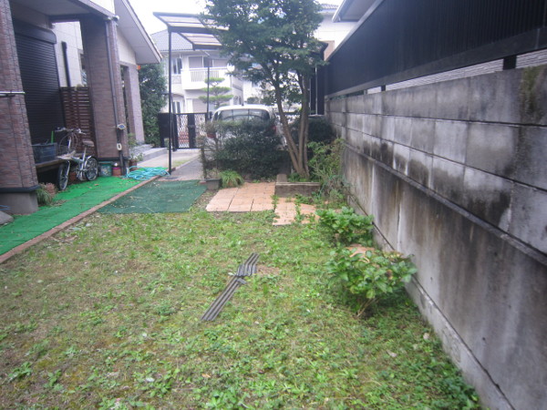 Before画像