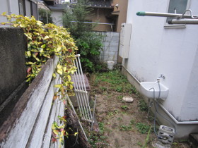 Before画像
