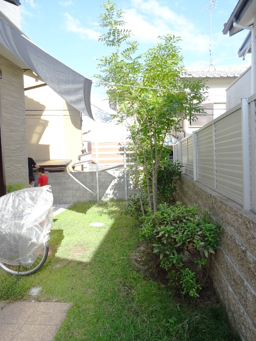 Before画像